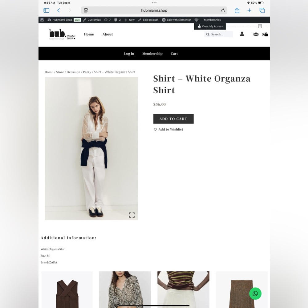 Zara Sheer White Blouse